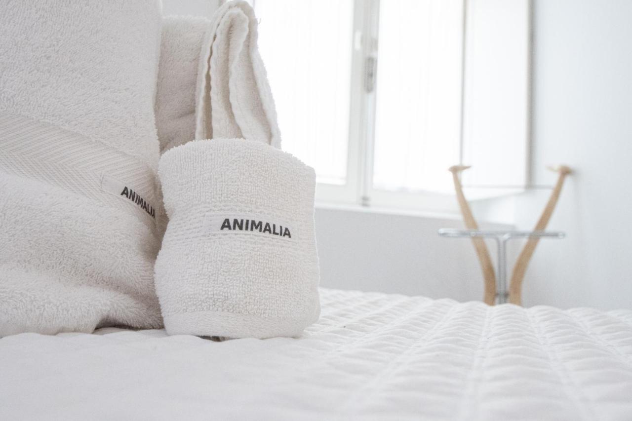 Apartamento Animalia Cadiz Exterior photo